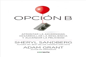 Opción B